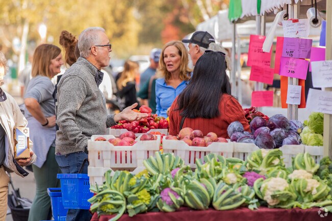 Welcome to the Downtown Turlock Farmers Market near Wright Turlock Ca.