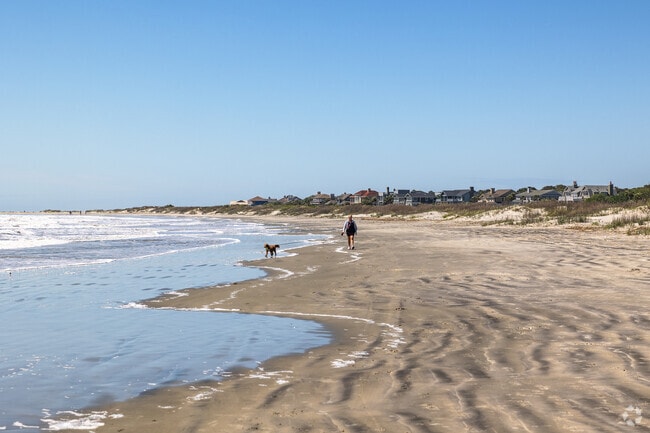 Enjoy Dog Walks On The Beach at Seabrook Island