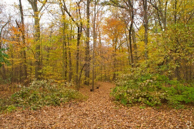 Trails are an enjoyable amenity of Wintergreen Woods Park in Wethersfield.