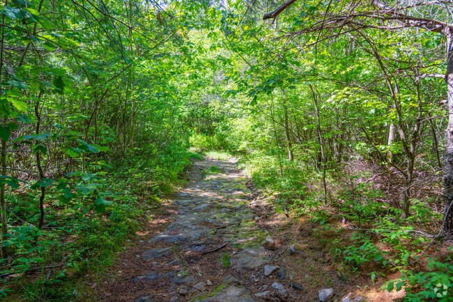 Phelon Memorial Forest in Granville offers peaceful trails for hiking, wildlife watching, and quiet walks.