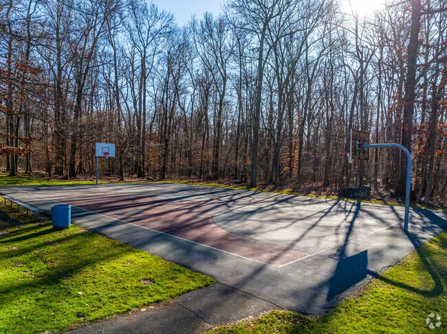 Richard Park has a basketball court for children and adults.