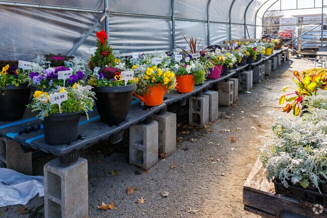 Royal Heights offers many places for residents to get fresh flowers.