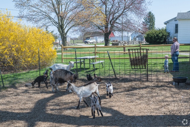 Take the kids to Ekonk Hill Turkey Farm in Sterling, where goats, chickens, ducks, and turkeys are the most fun.