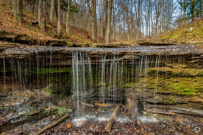 A hidden waterfall awaits deep in the woods at Settler's Cabin Park in Robinson Township.