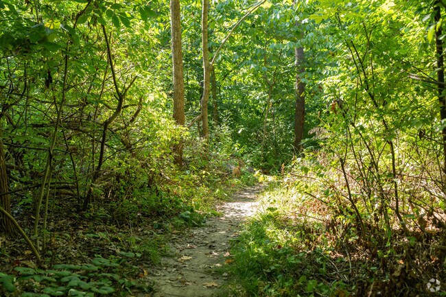Champ County Park features a 1-mile nature loop.