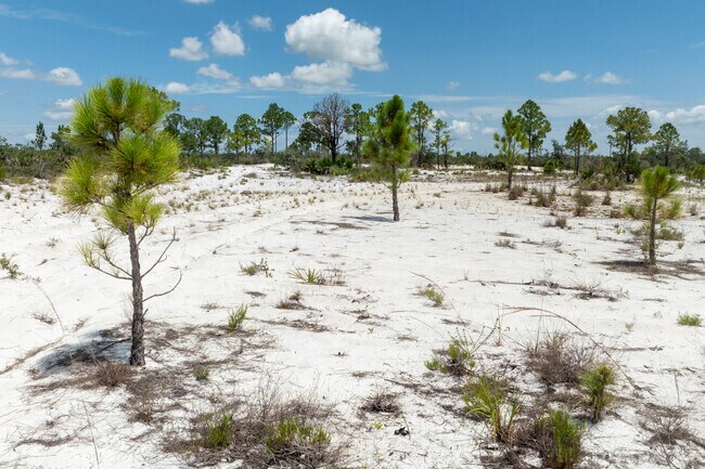 Lake Wales Ridge Wildlife Refuge is a fun place to visit close by to Highlands Ridge.
