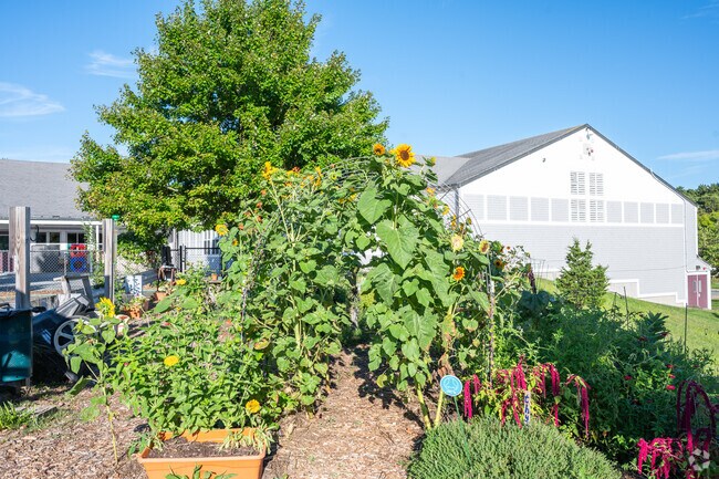 Children can work the garden at Truro Central School.
