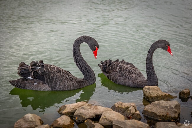 Visitors can spot a diverse range of birds at Tri-Township Park in Troy.