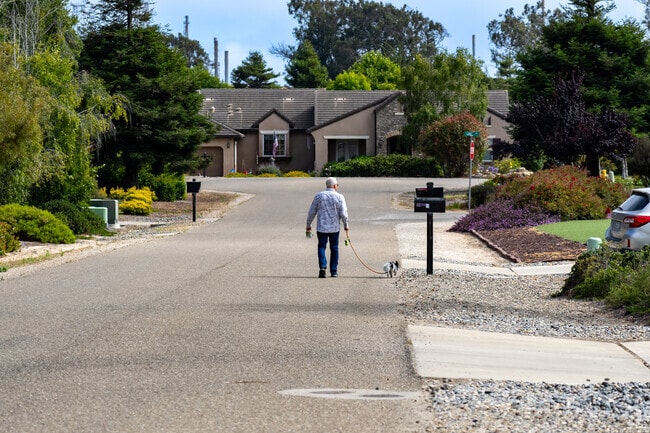 Residents frequently walk their furry friends along the streets of Callender.