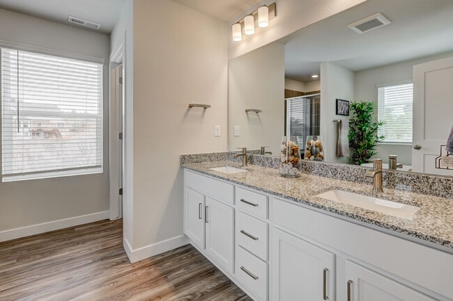 Canvas at Castle Rock, Castle Rock, CO 80104 - photo 6