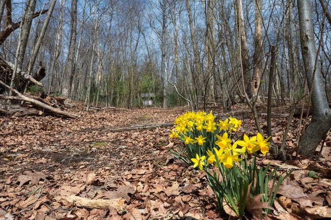 Escape to nature at Kinne Preserve, where locals enjoy camping amidst the beauty of Canterbury’s tranquil landscapes.