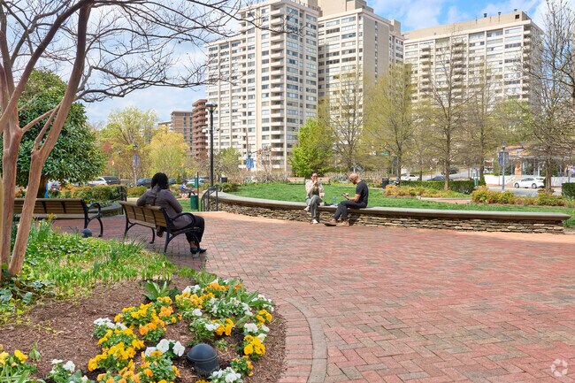 Residents enjoy lunchtime during a spring day in Friendship Heights.