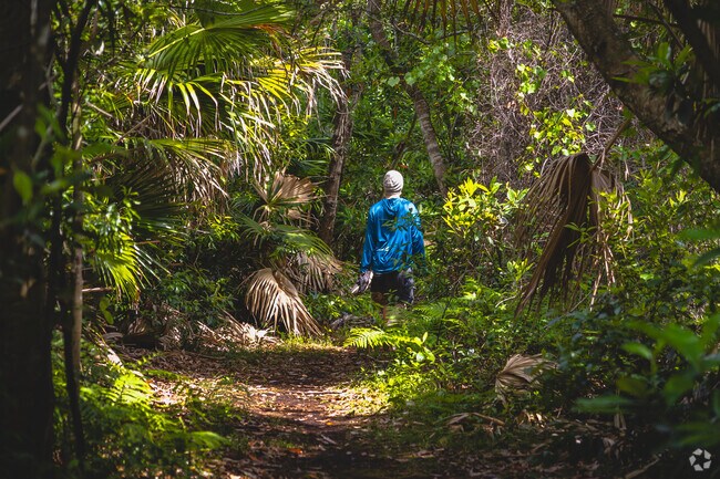 Enjoy a tranquil walk on the trails under the lush canopy at the Micheal V Lewis Arboretum.