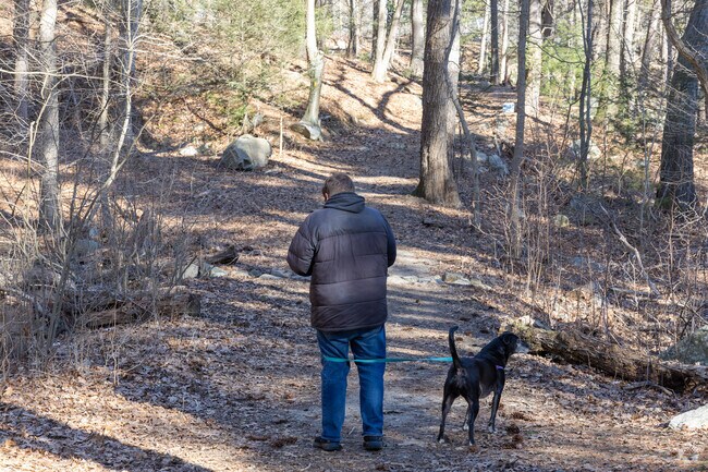 Take the pup out for a walk along one of the many trails in Rumney Marsh in North Saugus.