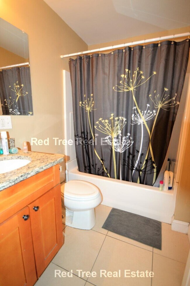 328 Saint Paul St unit 2, Brookline, MA 02446 - photo 4