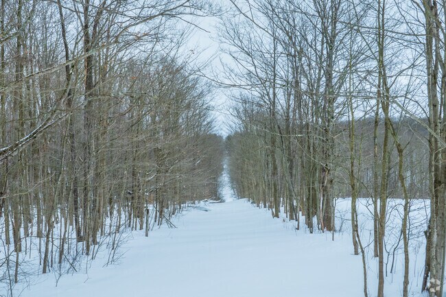 North Harmony State Forest offers abundant trails and other ways to enjoy nature.