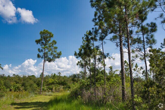 The Geneva Wilderness Area is a 180-acre site that lies to the south of the Geneva community.