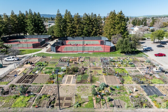 Grow your own produce and connect with nature at the community garden in Robert Livermore Park.