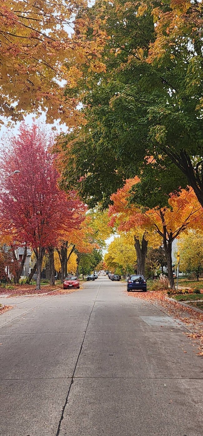 1901 -2301 Fillmore Street Ne Minneapolis Mn 55418, Minneapolis, MN 55418