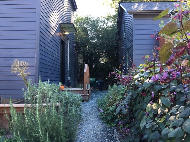 318 Oak St unit B (Downstairs), Charlottesville, VA 22903 - photo 4