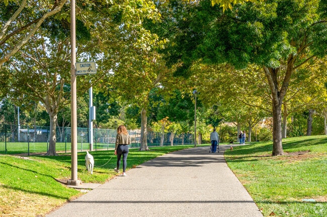 Lone Tree Valley residents walk their dogs in Antioch Community Park.