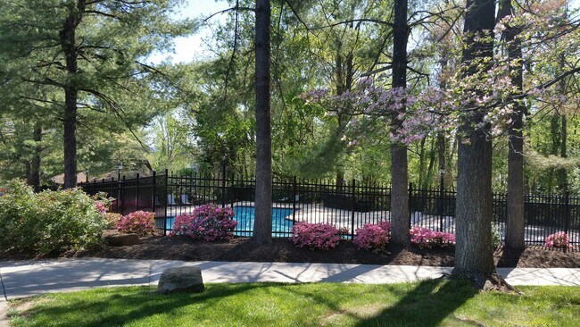 University Heights, Charlottesville, VA 22903 - photo 5