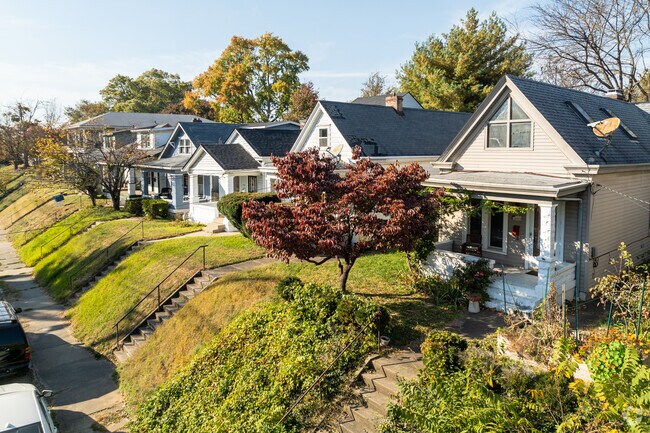 Tree-lined sidewalks contour homes, leaving room for small front yards.