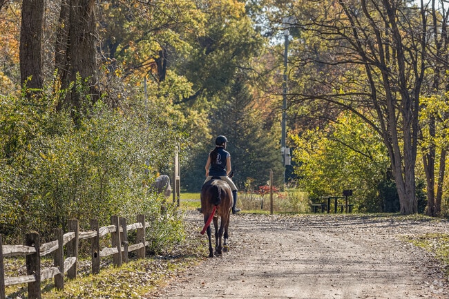 There is so much space you can take your horse for a walk in Huron Charter.