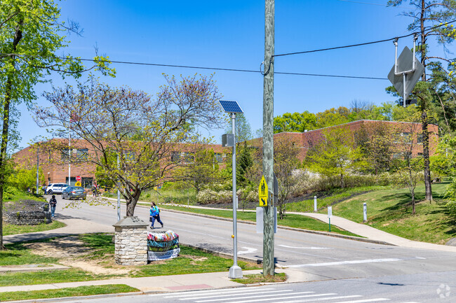 Clark Montessori High School is famously the country's first public Montessori school.