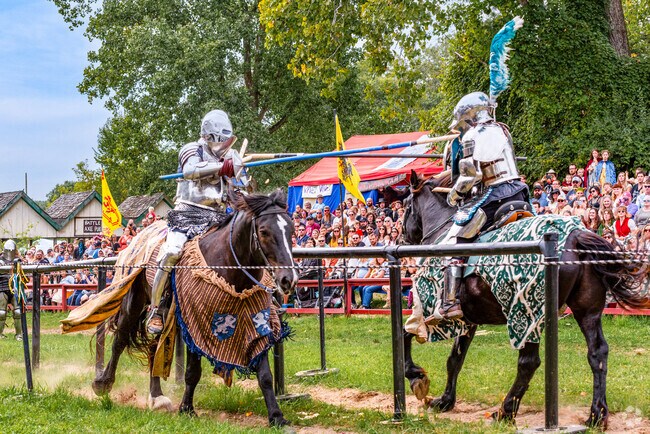 The Knights of the New Order joust at the Michigan Renaissance Festival in Groveland.