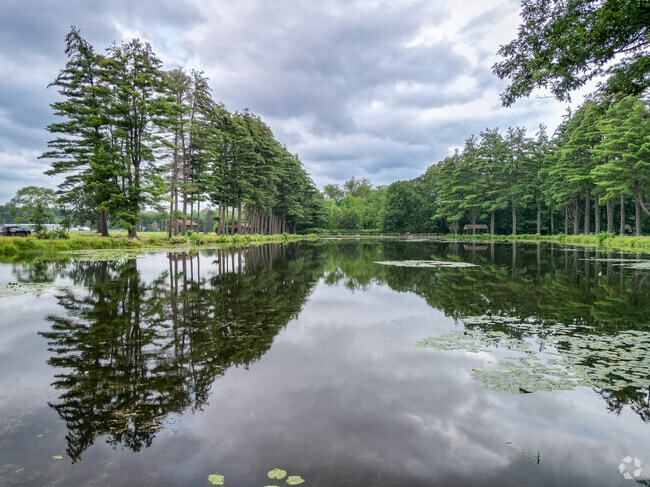 The pond in Dufresne Park can be crystal clear and reflects well at the right angle.