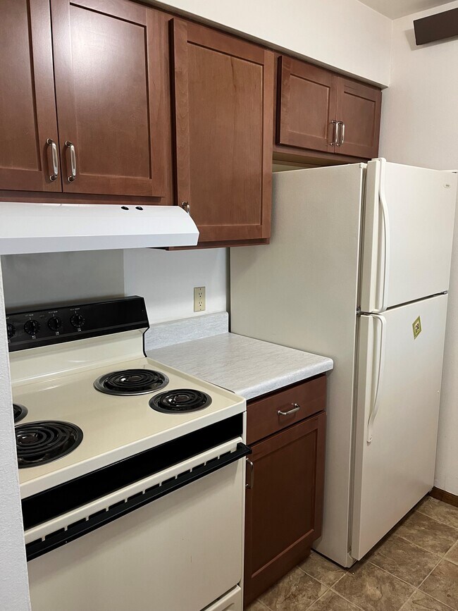 Ghent Housing, Wabasso, MN 56293 - photo 5