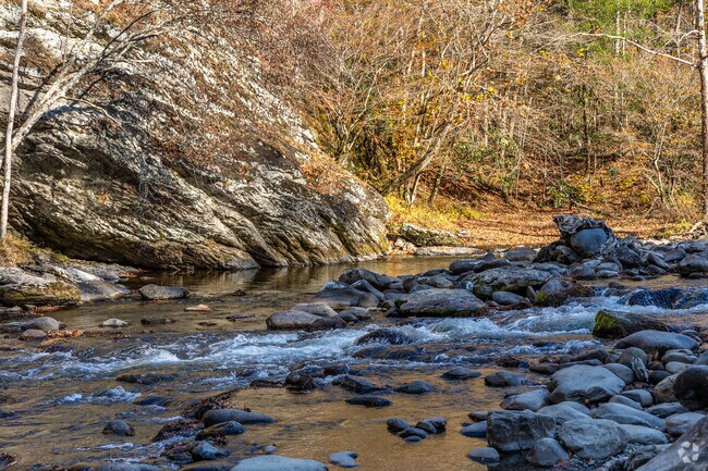 Go for a swim at the Townsend Wye in the warmer months.