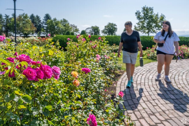 The Rose Garden in Leif Erikson Park, Duluth, includes a stone fountain and 3,000 roses.