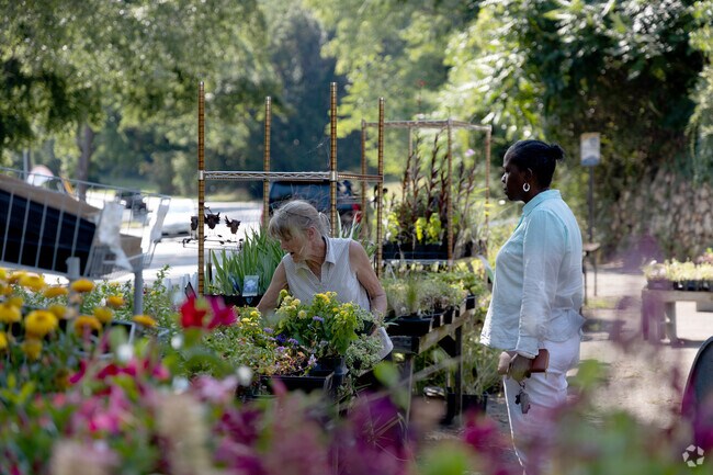 Boonsboro has plenty of nurseries to shop for plants and vegetables.
