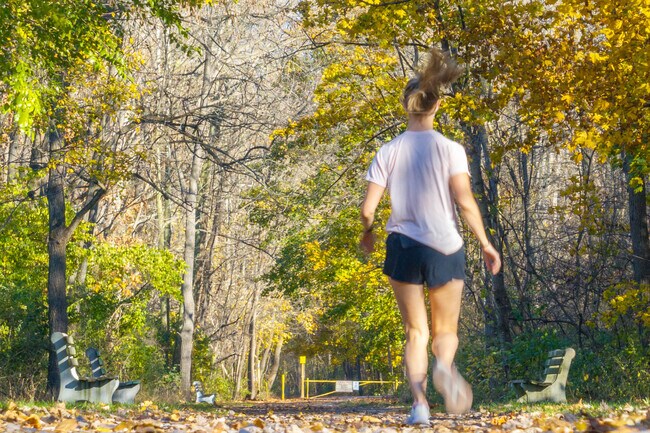 The Lebanon Valley Rail Trail in South Londonderry is a popular spot for a run.