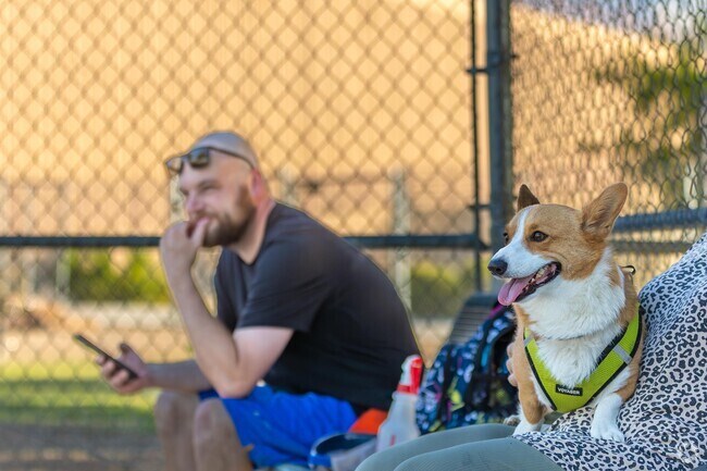 Dog owners enjoy the outdoors with their pups at Cactus Wren Park, South Fork Henderson Nevada.
