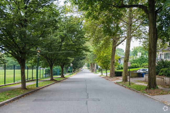 Tree-lined streets in Glen Ridge create quiet, shaded neighborhoods.