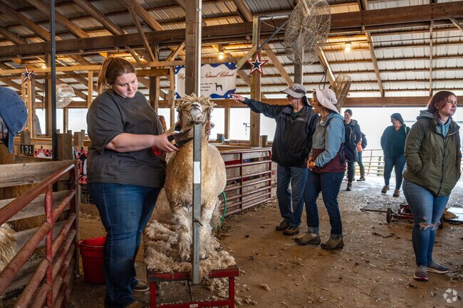 See the process of how wool is made at the Maryland Sheep & Wool Festival in Ellicott City.