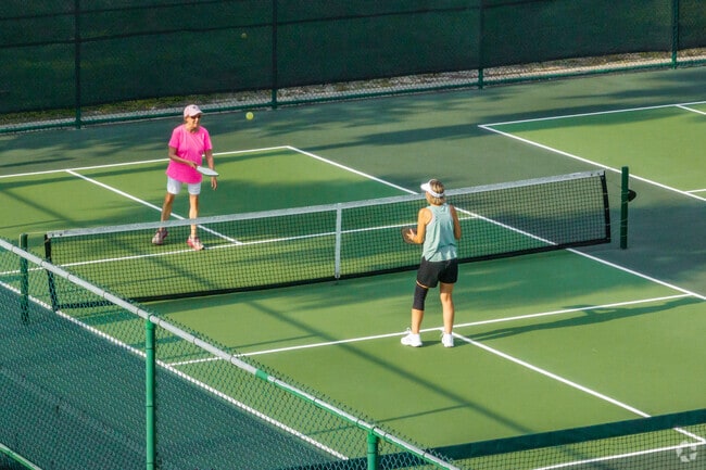 Villagers love to play pickleball at the Fish Hawk Recreation Center.