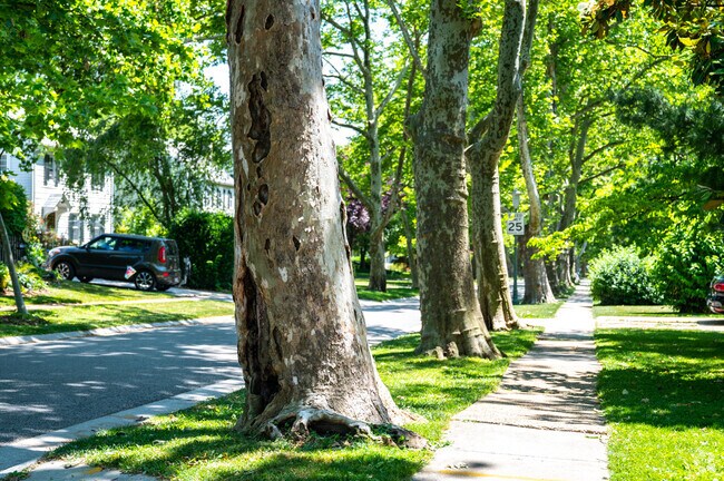 The trees lined along the streets in Cedarcroft neighborhood makes your drive beautiful.