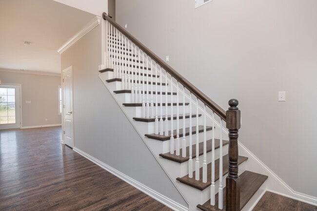 2443 Winning Colors Way unit 36700172, Owensboro, KY 42301 - photo 6