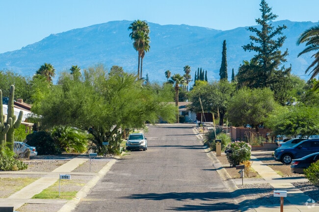 Mature shade trees line the streets of Colonia Del Valle.