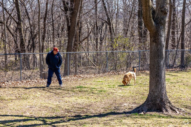 North Park's dog park offers two fenced-in areas for dogs to run free.