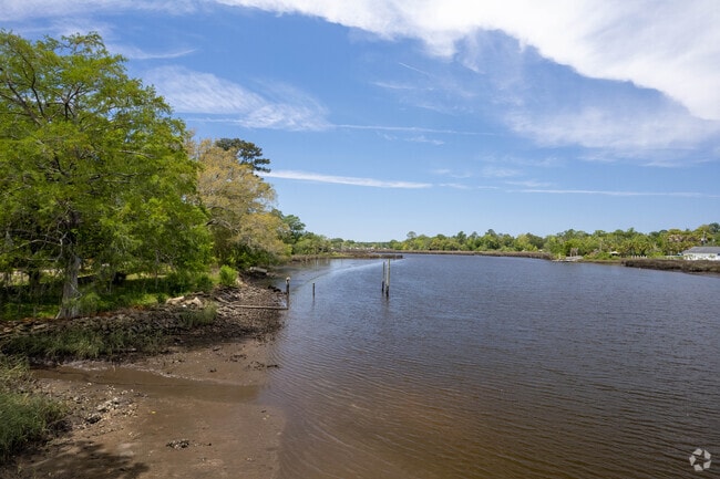 The Ribault River seen from the Ribault River Preserve.