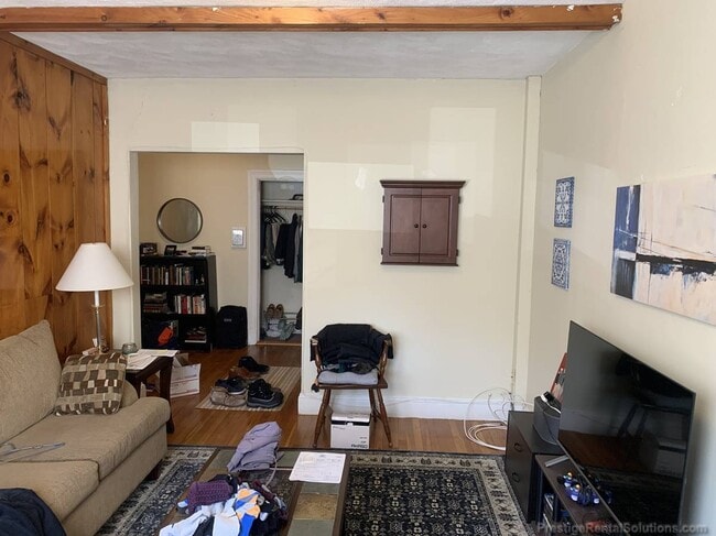 45 Chestnut Hill Ave unit 1, Brighton, MA 02135 - photo 3