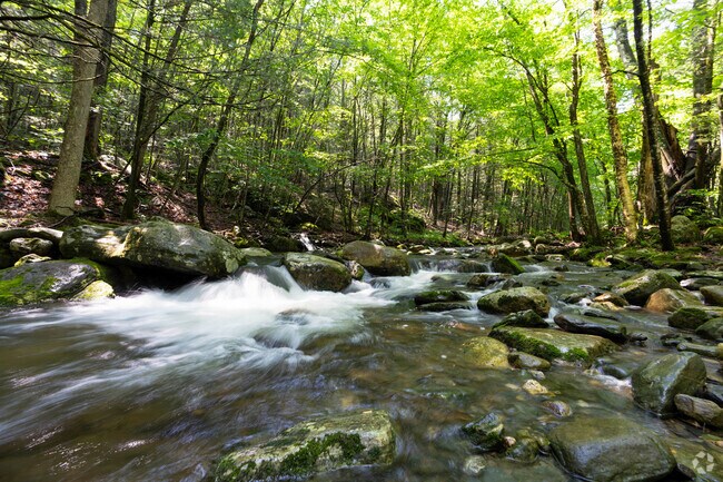 Chester-Blandford State Forest offers scenic trails and waterfalls in a landscape shaped by old mining roads.