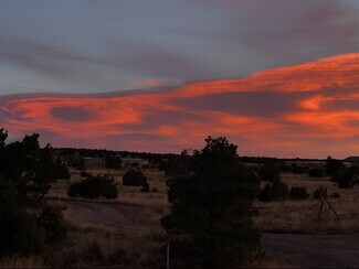 Victoria Warner-Stratton