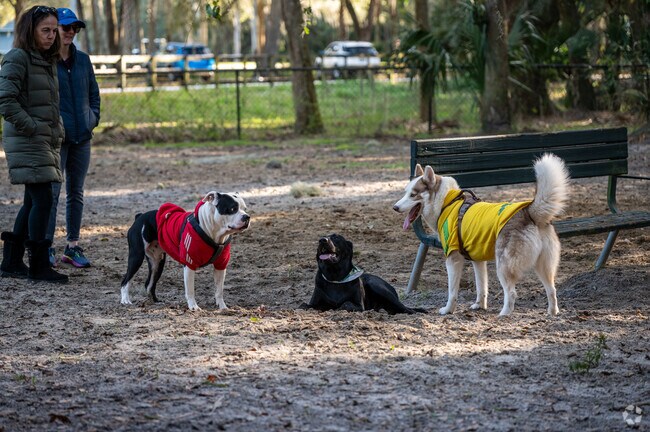 Dogs love to socialize at DeBary's Gemini Springs Dog Park nearby Plantation Estates.