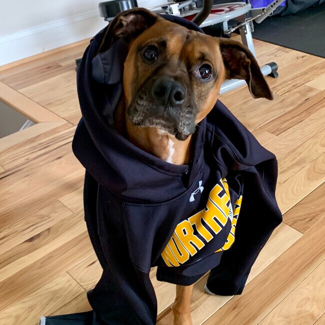 Agent Photo